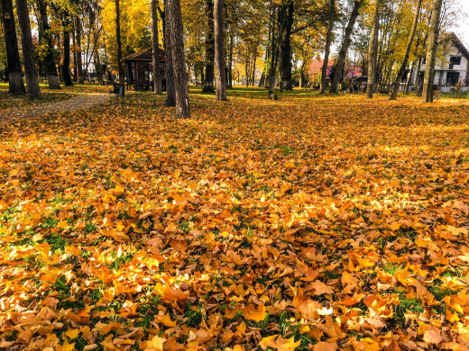 1253637 (a): :2560x1920